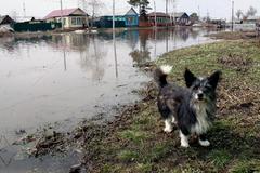 ВЕСЕННЯЯ ВОДА