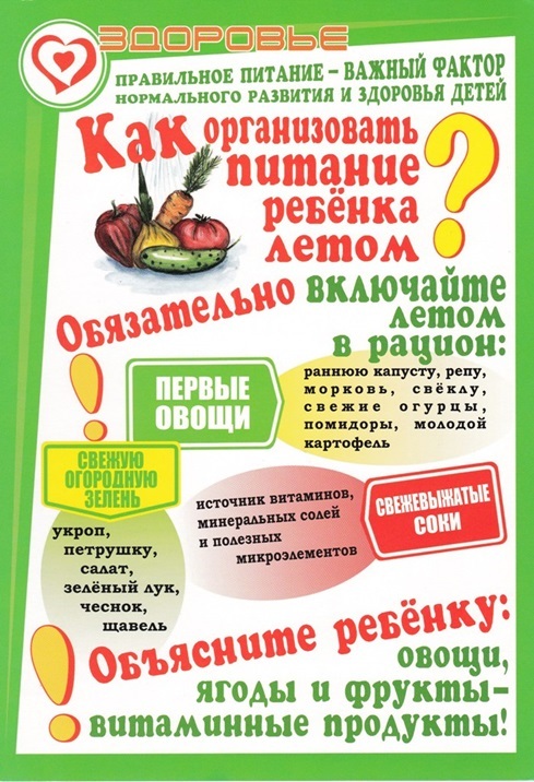 Особенности питания ребенка летом Особенности питания ребенка летом