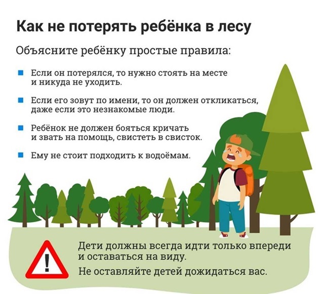 РОДИТЕЛЯМ и ДЕТЯМ О БЕЗОПАСНОСТИ В ЛЕСУ