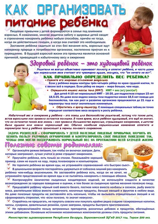 Как организовать питание ребенка Как организовать питание ребенка