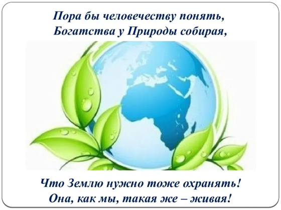 Всемирный день охраны окружающей среды Всемирный день охраны окружающей среды